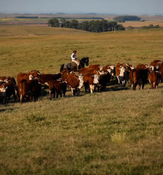  Economia brasileira cresce 1,4% no 1º trimestre de 2025 e atinge R$ 3 trilhões, aponta IBGE