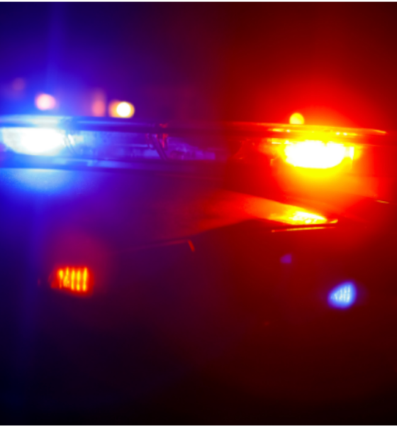 POLÍCIA APREENDE MAIS DE 130 KG DE MACONHA EM CAMINHÃO DE PREFEITURA EM MT