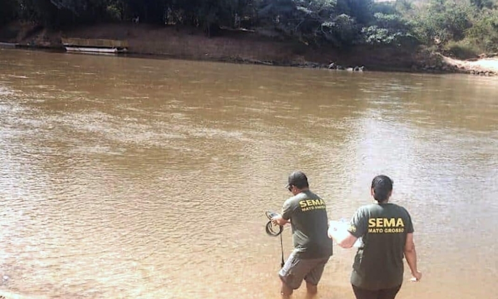 Sema avalia três ‘praias’ como próprias para banho em Mato Grosso