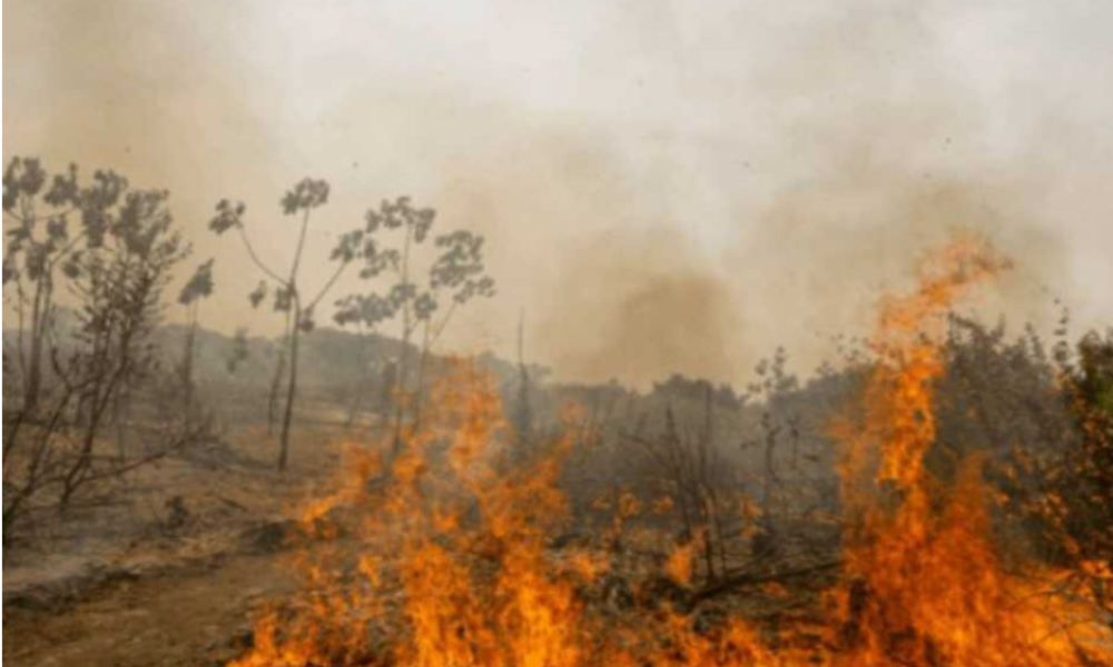 MT LIDERA RANKING NO PAÍS E REGISTRA MAIS DE 9 MIL FOCOS DE QUEIMADAS DESDE JANEIRO, DIZ INPE
