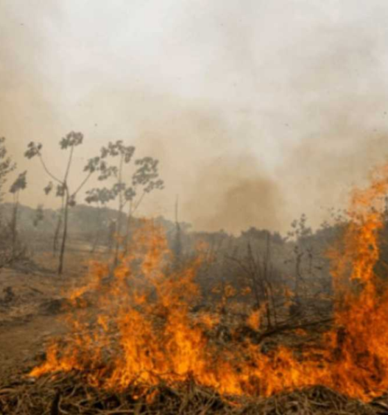 MT LIDERA RANKING NO PAÍS E REGISTRA MAIS DE 9 MIL FOCOS DE QUEIMADAS DESDE JANEIRO, DIZ INPE