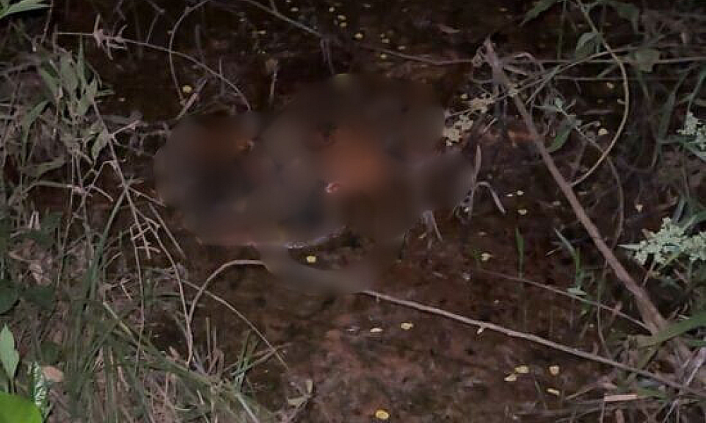 Corpo decapitado é localizado em área alagada de Juína