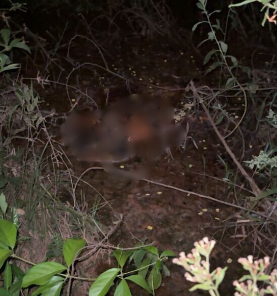 Corpo decapitado é localizado em área alagada de Juína