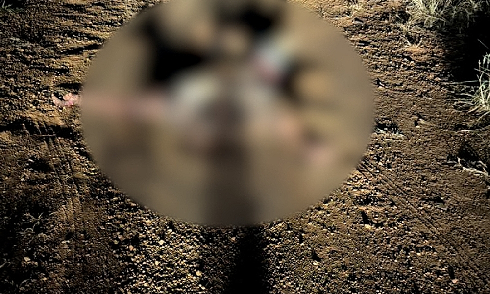 Homem sequestrado é encontrado morto em milharal na região de MT-242