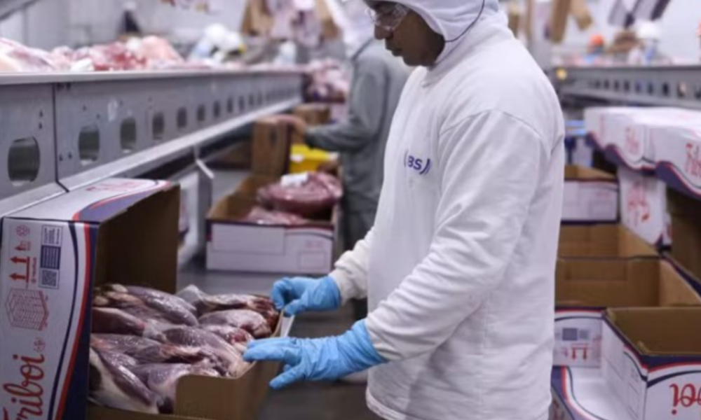 FRIGORÍFICO É CONDENADO EM R$ 500 MIL POR VAZAMENTO DE AMÔNIA EM MT