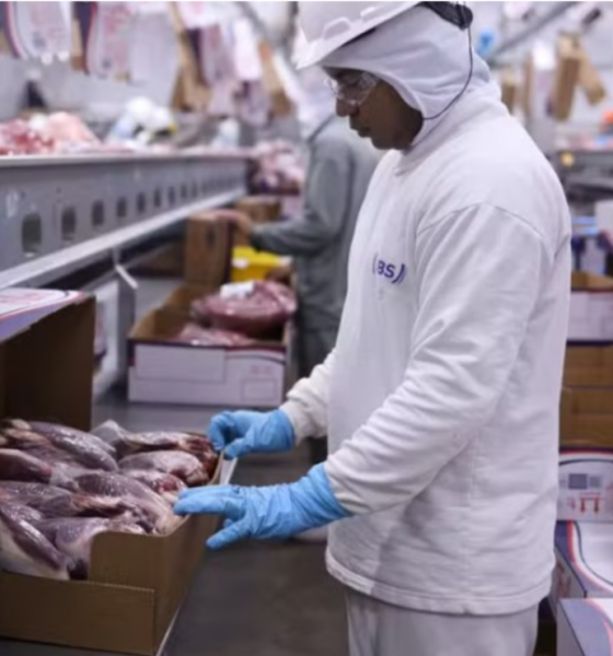 FRIGORÍFICO É CONDENADO EM R$ 500 MIL POR VAZAMENTO DE AMÔNIA EM MT