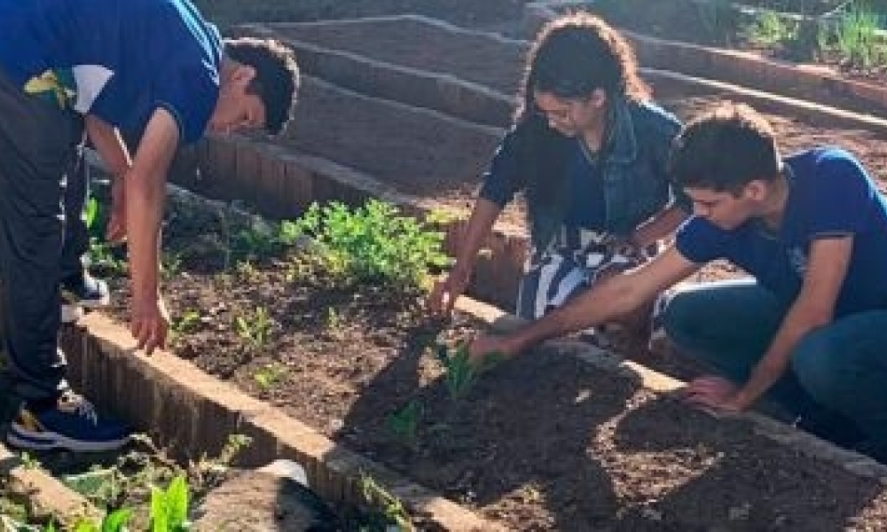 Estudantes que participam de projeto desenvolvem sistemas de irrigação