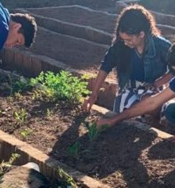 Estudantes que participam de projeto desenvolvem sistemas de irrigação