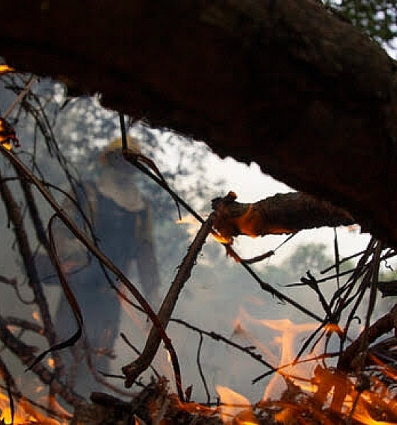 Governo destina R$ 137,5 milhões para combater recorde de queimadas no Pantanal