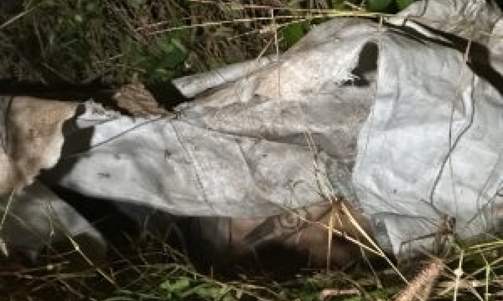 Corpos são achados dentro de sacos plásticos em mata no bairro Pedra 90