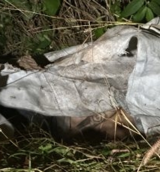 Corpos são achados dentro de sacos plásticos em mata no bairro Pedra 90