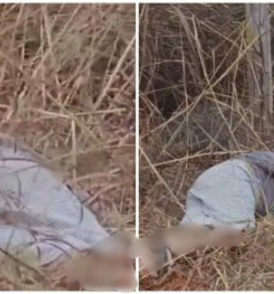 Homem finge estar morto e sobrevive a ataque brutal após sequestro em Várzea Grande