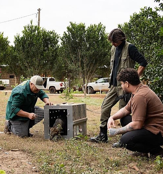 Sema realiza soltura de animais em reserva ecológica no município de São José do Rio Claro