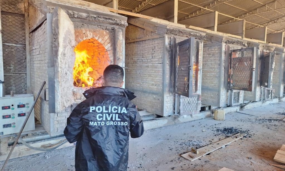 Polícia Civil incinera 150 quilos de drogas apreendidas em Lucas do Rio Verde