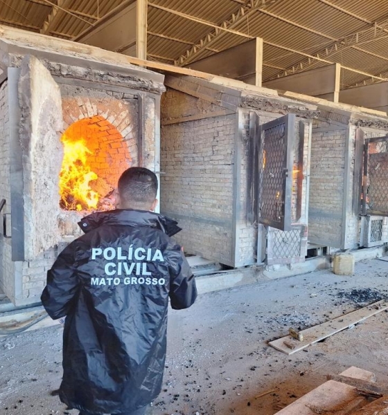 Polícia Civil incinera 150 quilos de drogas apreendidas em Lucas do Rio Verde