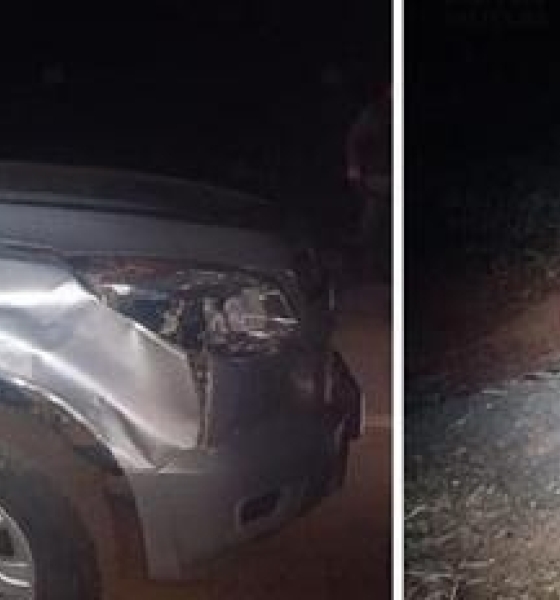 Motociclista é gravemente ferido após colisão na MT-249, em Nova Mutum