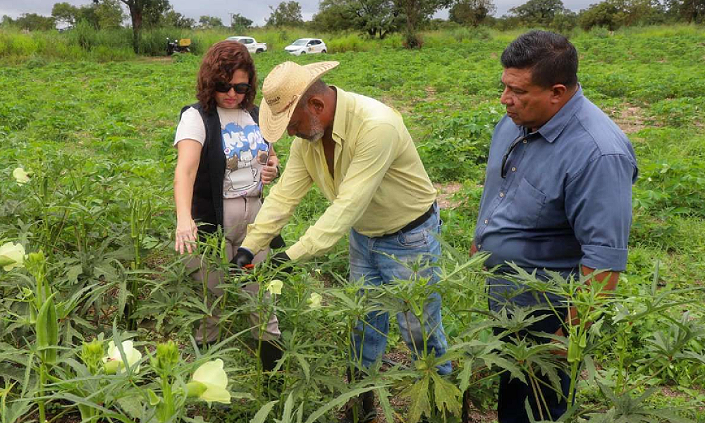Semana de visitas técnicas valoriza agricultura familiar em Várzea Grande
