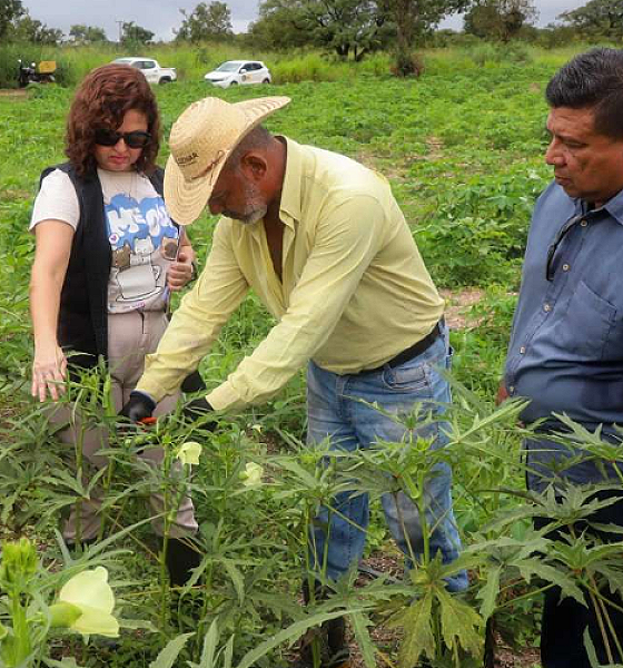 Semana de visitas técnicas valoriza agricultura familiar em Várzea Grande