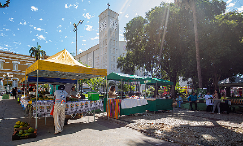 Segunda edição da Feira de Agricultura Familiar acontece nesta segunda na Praça da República