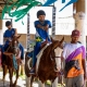 Seduc mantm equoterapia para crianas da rede estadual durante as frias escolares