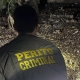 Polcia Civil localiza corpo de vtima e prende envolvidos em homicdio em Alto Araguaia