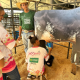 Meninas do Programa Siminina vivenciam experincia educativa na Expoagro em Cuiab
