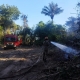 Corpo de Bombeiros age rpido e impede que incndio em vegetao atinja casas