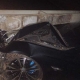 BMW derruba poste e causa efeito domin em rede eltrica em Vrzea Grande