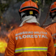 Corpo de Bombeiros extingue dois incndios florestais e combate 24 neste domingo (24)