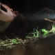 Motorista morre em tombamento de veculo na BR-158