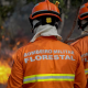 Corpo de Bombeiros combate 22 inc�ndios florestais neste domingo (31)