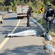 Motociclista morre em acidente na MT-251, em Chapada dos Guimares