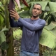  Pequenos agricultores podem receber at R$ 28 mil por aes que preservem floresta amaznica