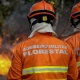 Bombeiros militares combatem incndio em vegetao s margens da BR-364