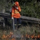 Corpo de Bombeiros combate 31 incndios florestais nesta quarta-feira (10)
