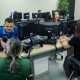 Com mais de R$40 milhes de crdito liberado, linha de investimento para empresas  a mais procurada em 2025