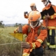 Incndio no Parque Estadual da Serra Azul foi criminoso, confirma percia do Corpo de Bombeiros