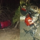 Motociclista morre em coliso na MT-060
