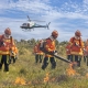 Corpo de Bombeiros combate 17 incndios florestais nesta quarta-feira (1)