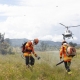 Corpo de Bombeiros combate 20 incndios florestais nesta quinta-feira (2)
