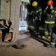 Bombeiros realizam desencarceramento de vtima e resgate de bois aps caminho tombar em rotatria