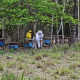 Seaf apoia a produo de mel e Alta Floresta promove integrao entre apicultores e meliponicultores da Amaznia Mato-grossense