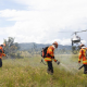 Corpo de Bombeiros combate 18 incndios florestais neste domingo (5)