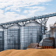 Incio da safra 25/26 expe desafios no crdito e agrava dficit de armazenagem em Mato Grosso