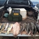 Sema e PM apreendem cerca de 70 quilos de pescado irregular nos ltimos quatro dias