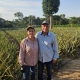 Casal deixa vida urbana e transforma chcara em modelo de produo agroecolgica com apoio da Seaf e Empaer