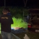 Mulher � achada morta dentro de carro abandonado em ch�cara de C�ceres