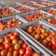 Alta do tomate e da batata empurra cesta b�sica para R$ 809,75 em Cuiab�