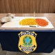 PRF apreende mais de 2 mil comprimidos de ecstasy em �nibus interestadual na BR-364