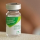 Idosos, crianças e gestantes devem procurar postos de saúde para vacinação contra gripe